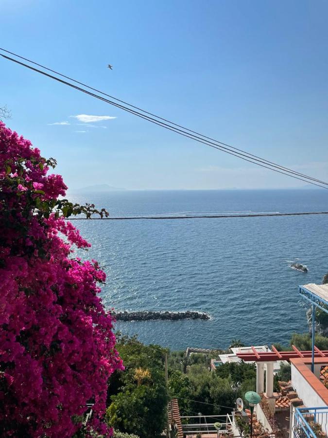 La Rosa Dei Venti Villa Massa Lubrense Buitenkant foto