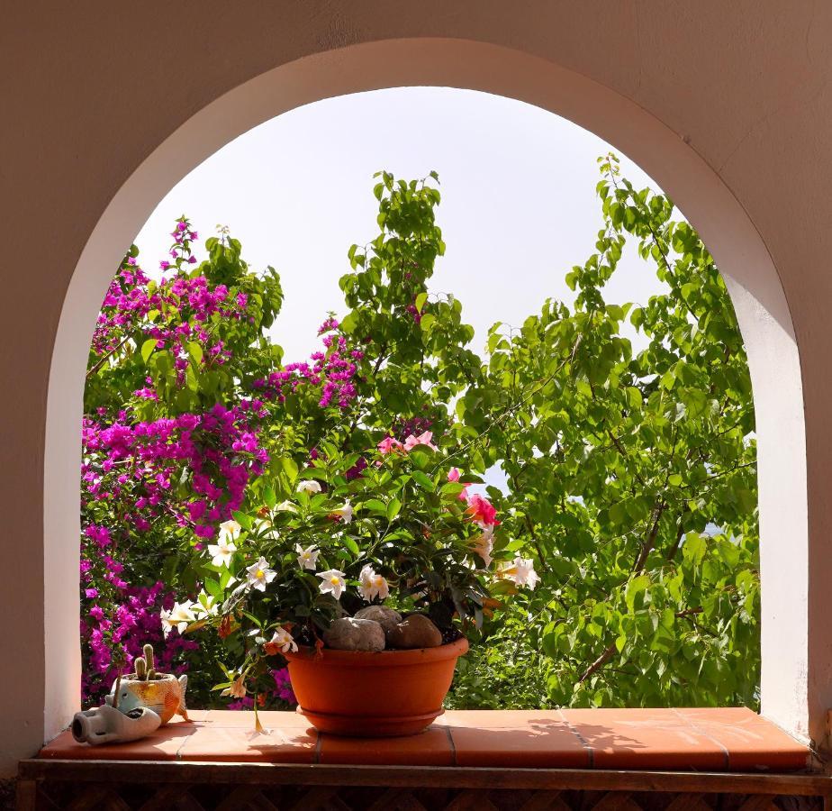 La Rosa Dei Venti Villa Massa Lubrense Buitenkant foto