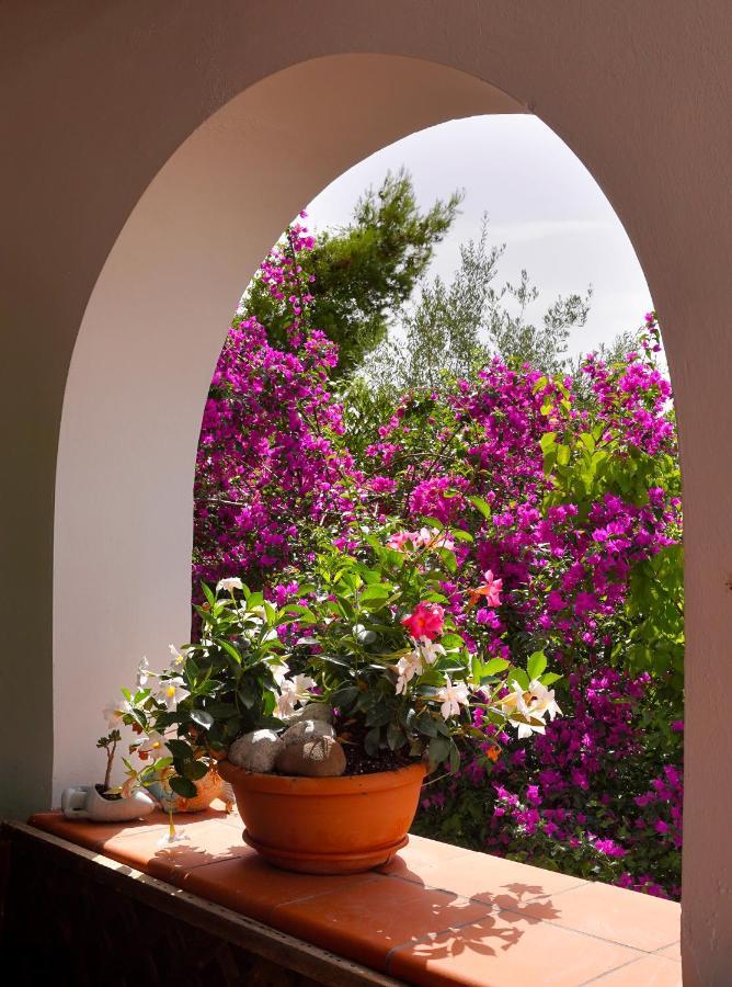 La Rosa Dei Venti Villa Massa Lubrense Buitenkant foto